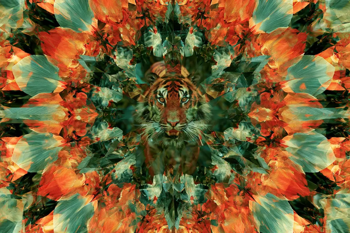 Kaleidoscope refractions: tiger, face, owl and rose
